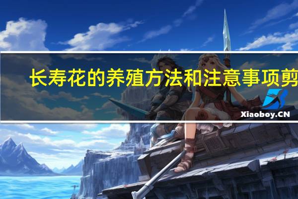 长寿花的养殖方法和注意事项剪枝