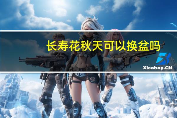 长寿花秋天可以换盆吗