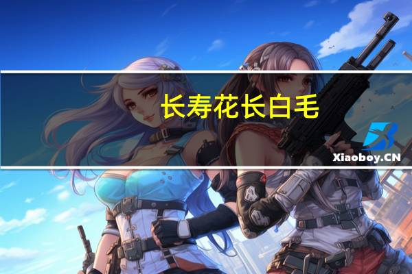 长寿花长白毛：保持通风