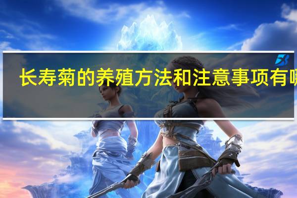 长寿菊的养殖方法和注意事项有哪些
