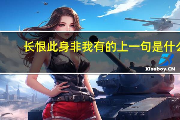 长恨此身非我有的上一句是什么