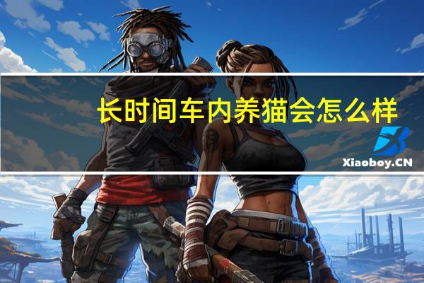 长时间车内养猫会怎么样