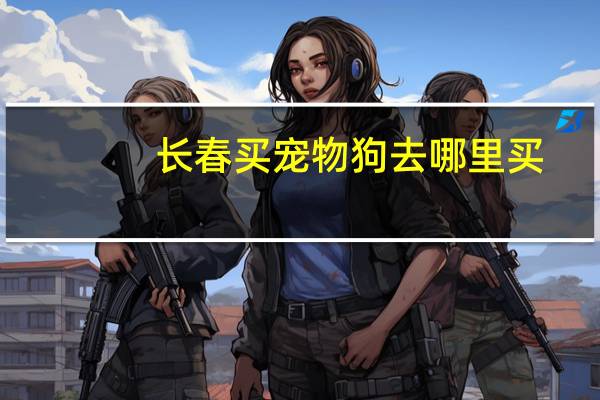 长春买宠物狗去哪里买