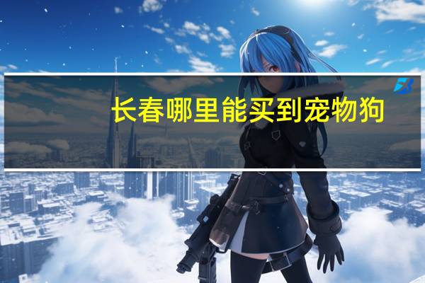 长春哪里能买到宠物狗