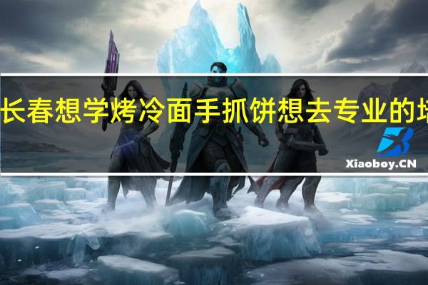 长春想学烤冷面手抓饼想去专业的培训班，哪里有