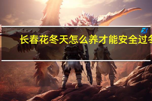 长春花冬天怎么养才能安全过冬?
