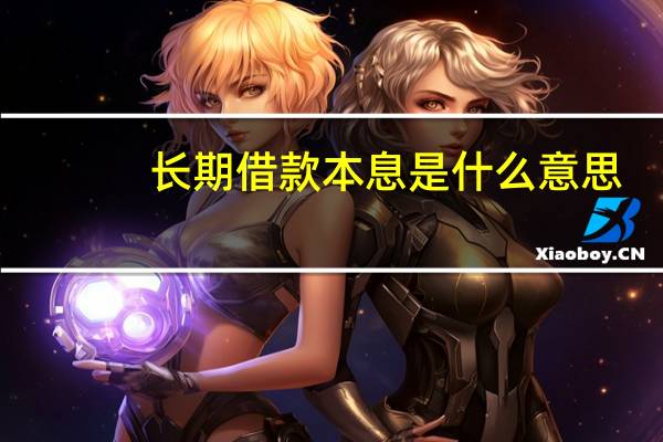 长期借款本息是什么意思（本息是什么意思）