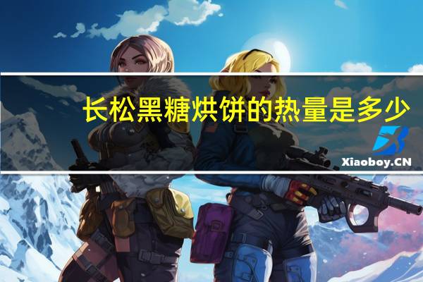 长松 黑糖烘饼的热量是多少