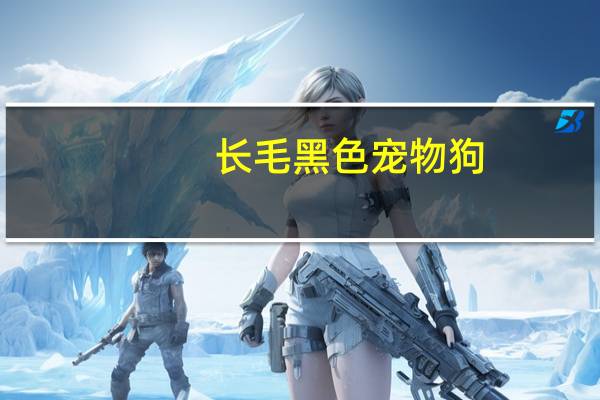 长毛黑色宠物狗