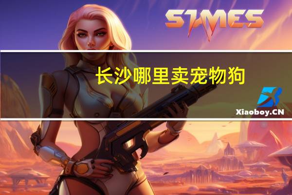 长沙哪里卖宠物狗
