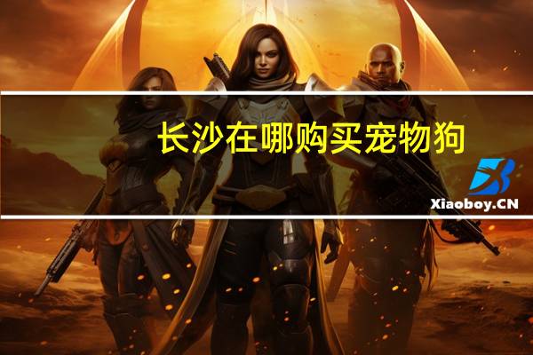 长沙在哪购买宠物狗