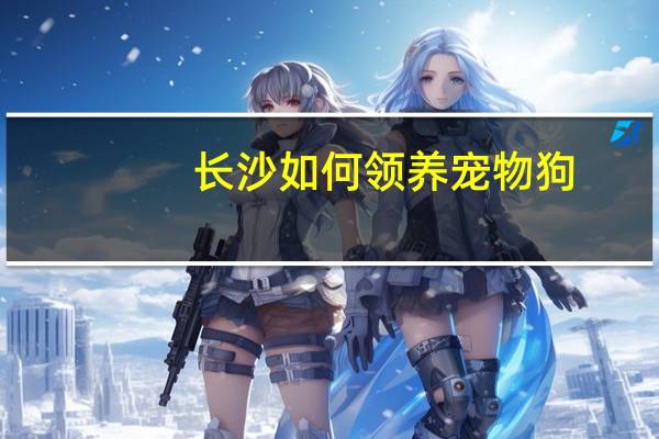 长沙如何领养宠物狗