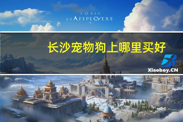 长沙宠物狗上哪里买好