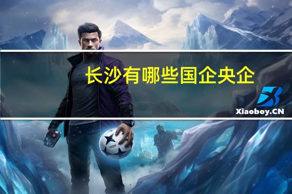 长沙有哪些国企央企