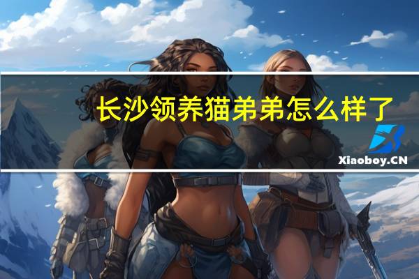 长沙领养猫弟弟怎么样了