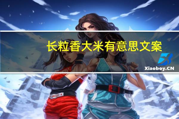 长粒香大米有意思文案