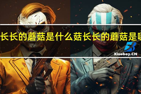 长长的蘑菇是什么菇 长长的蘑菇是哪种菇