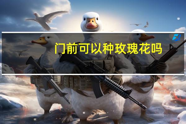 门前可以种玫瑰花吗