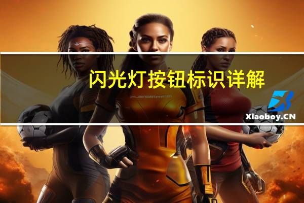 闪光灯按钮标识详解