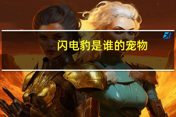 闪电豹是谁的宠物