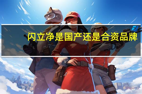 闪立净是国产还是合资品牌