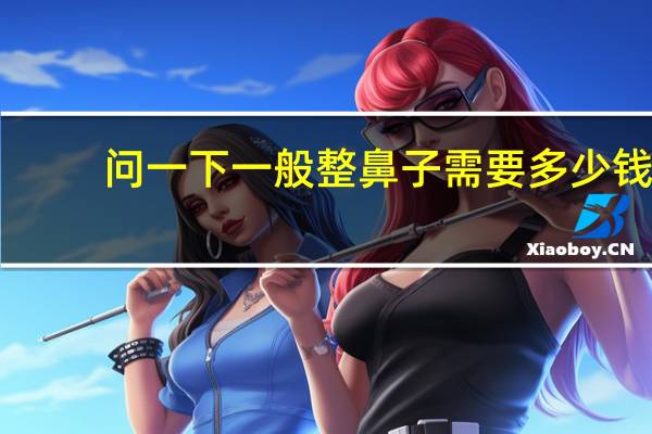 问一下一般整鼻子需要多少钱，整鼻子需要多少钱