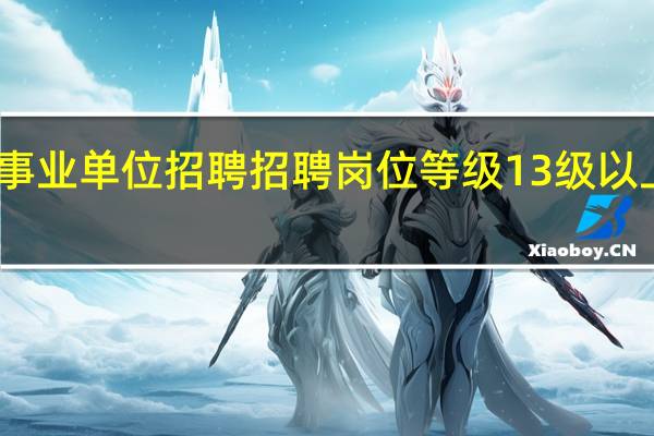 问一下事业单位招聘招聘岗位等级13级以上是什么意思