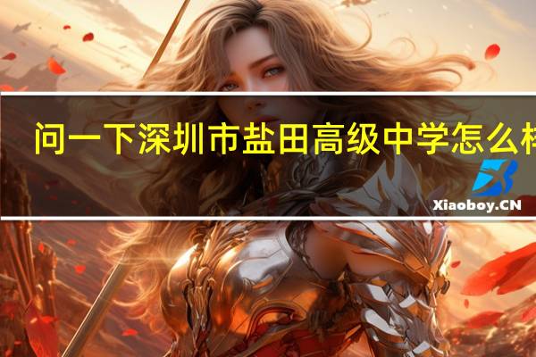 问一下深圳市盐田高级中学怎么样啊