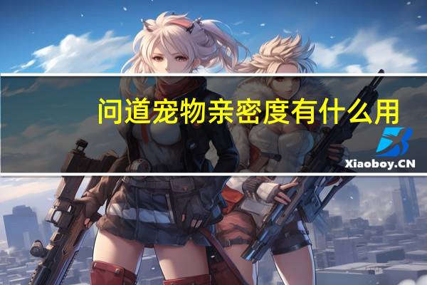 问道宠物亲密度有什么用