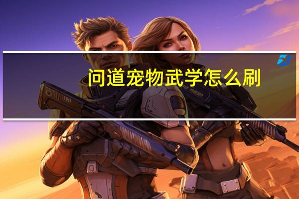 问道宠物武学怎么刷