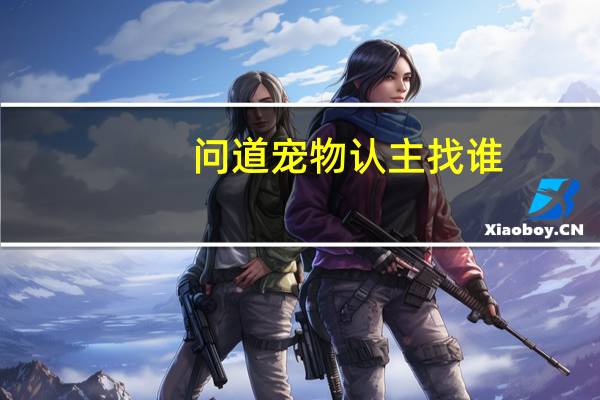 问道宠物认主找谁