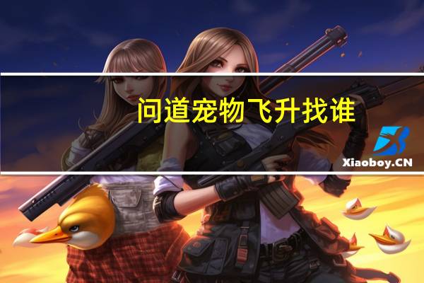 问道宠物飞升找谁