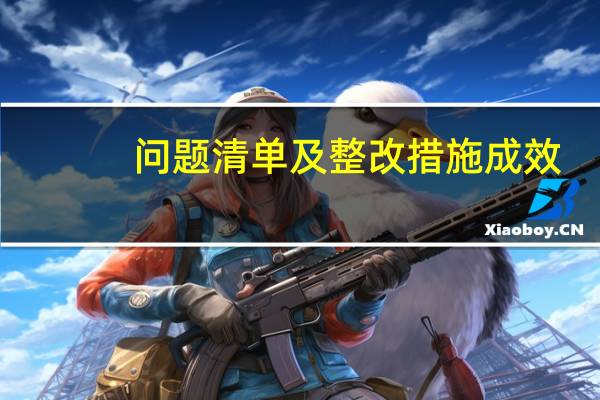问题清单及整改措施成效（问题清单及整改措施）