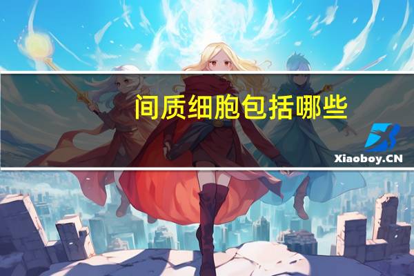 间质细胞包括哪些(间质细胞)