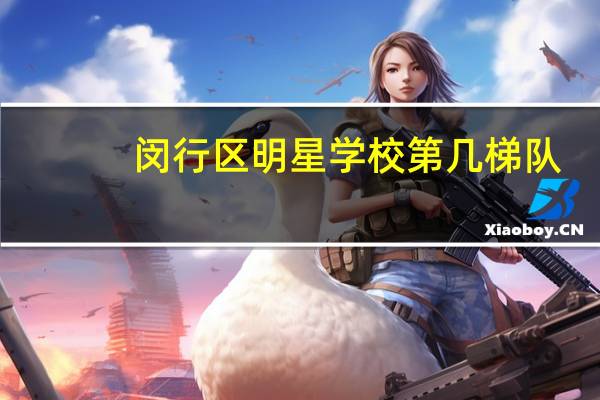 闵行区明星学校第几梯队