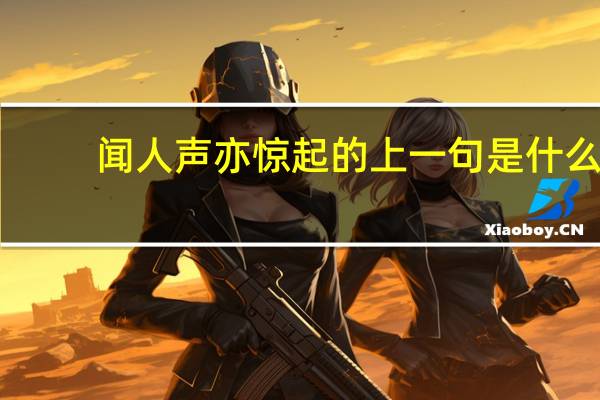 闻人声亦惊起的上一句是什么