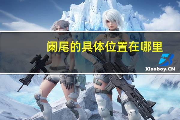 阑尾的具体位置在哪里（阑尾的位置在哪里）