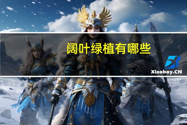 阔叶绿植有哪些