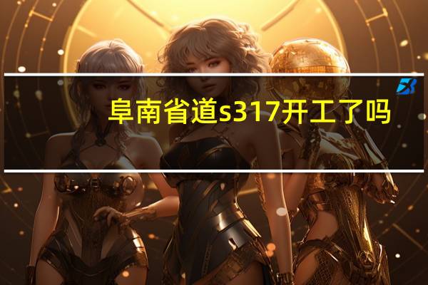 阜南省道s317开工了吗