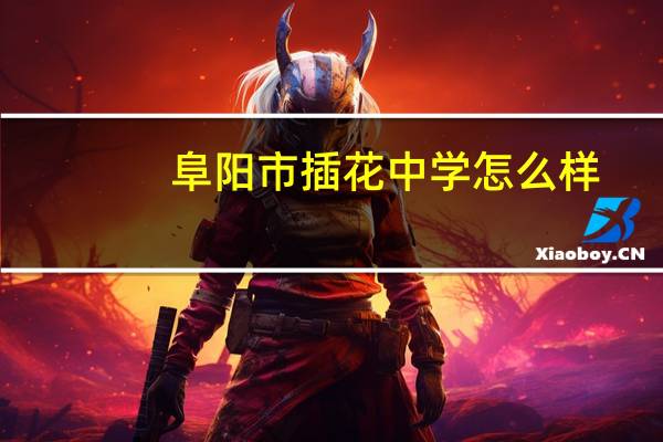 阜阳市插花中学怎么样