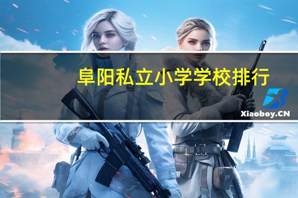 阜阳私立小学学校排行