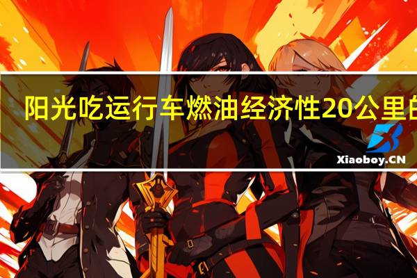 阳光吃运行车 燃油经济性20公里的嗖