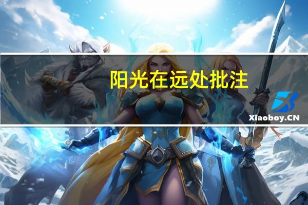 阳光在远处批注（阳光在远处）