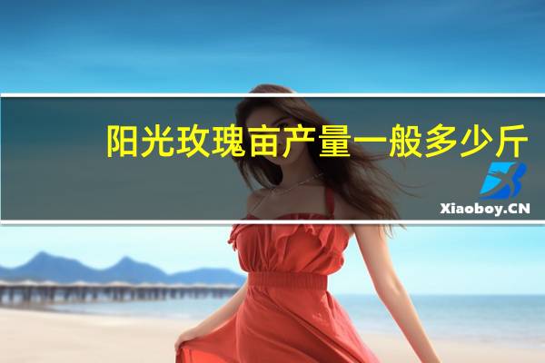 阳光玫瑰亩产量一般多少斤