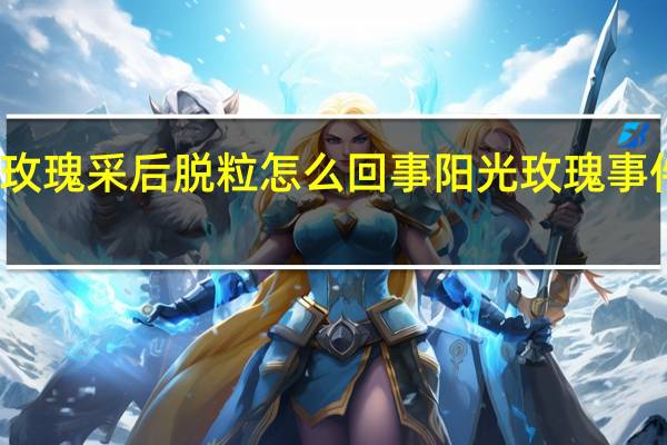 阳光玫瑰采后脱粒怎么回事 阳光玫瑰事件近期新闻