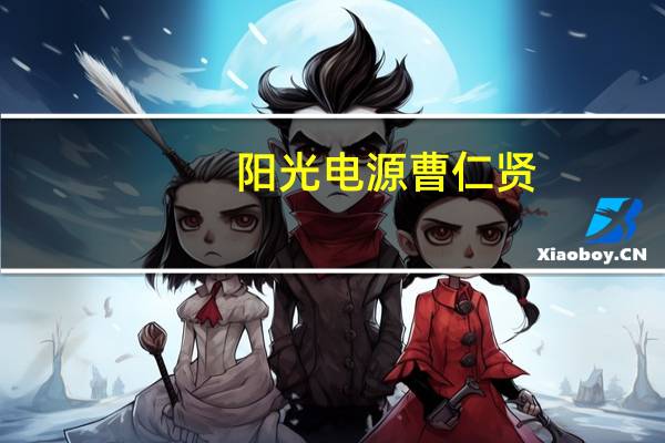 阳光电源曹仁贤:同质化现象给光伏产业持续健康发展带来挑战