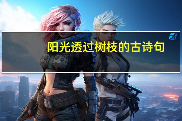 阳光透过树枝的古诗句