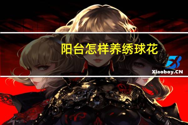 阳台怎样养绣球花