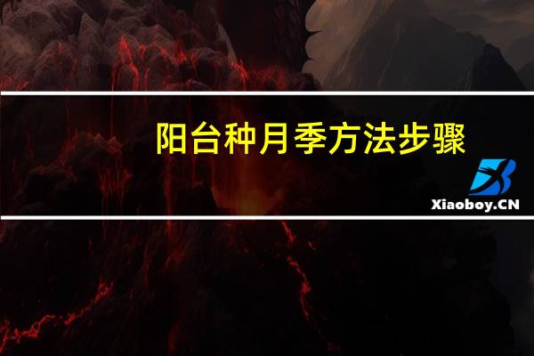 阳台种月季方法步骤