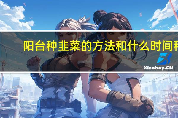 阳台种韭菜的方法和什么时间种